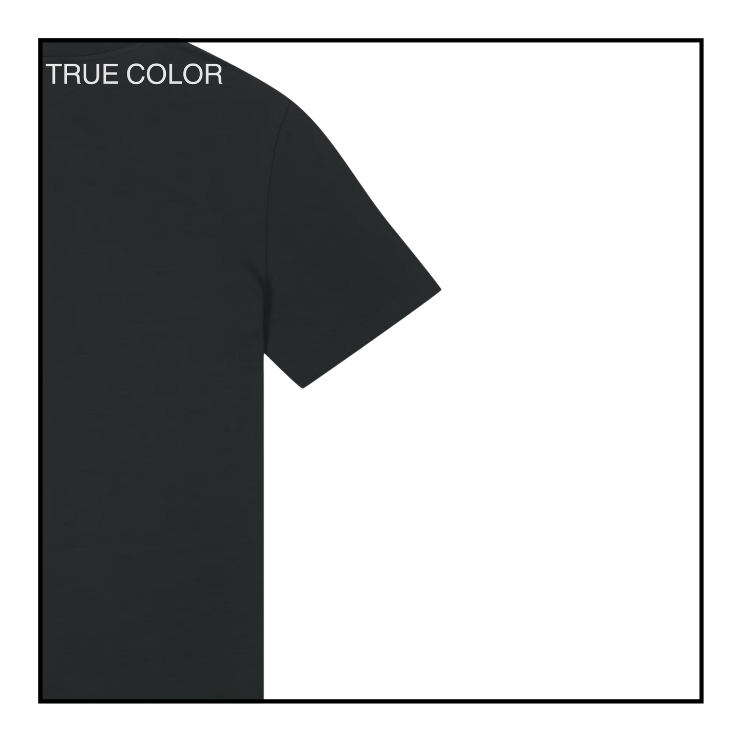 Rogue AI Logo | Men's T-Shirt Black/Light Grey
