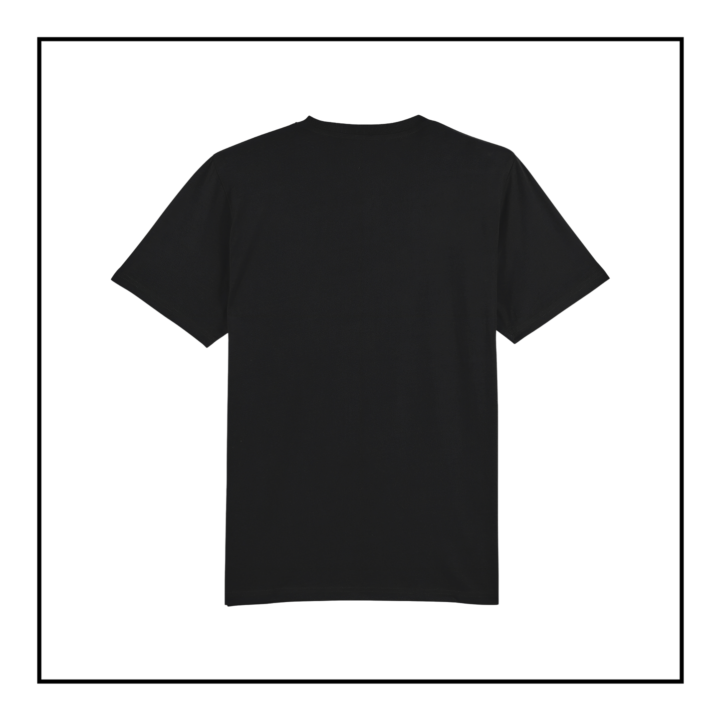 Rogue AI Logo | Men's T-Shirt Black/Light Grey