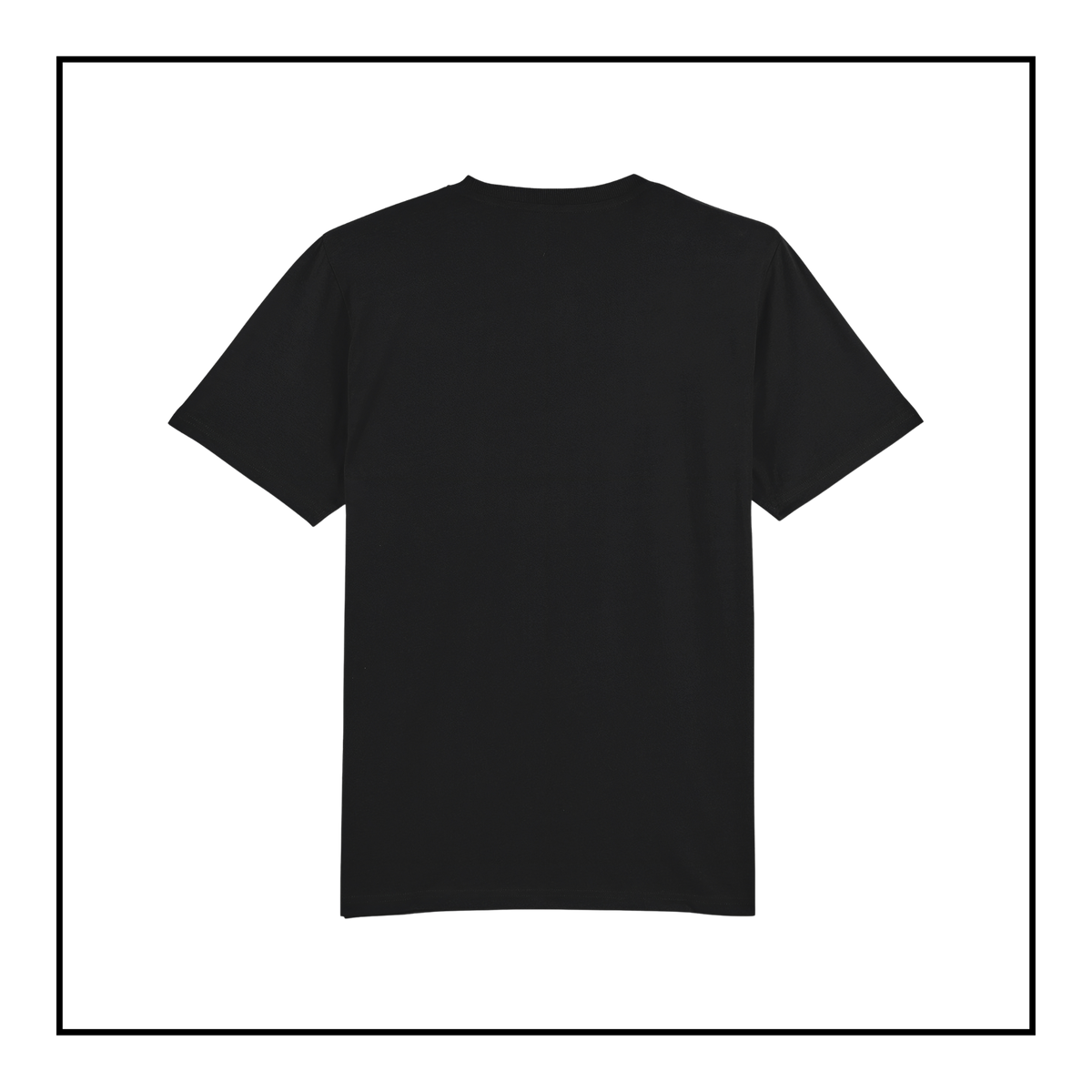 Rogue AI Logo | Women's T-Shirt Black/Light Grey