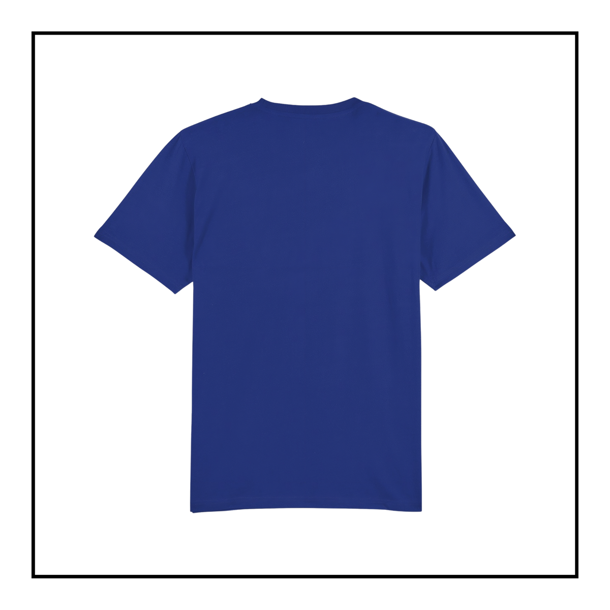Rogue AI Logo | Women's T-Shirt Worker Blue/Light Blue