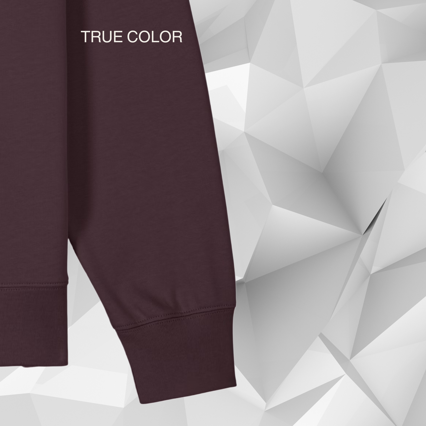 Created to Think | Women's Sweatshirt Red Brown/Vintage White